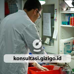 jasa konsultasi gizi