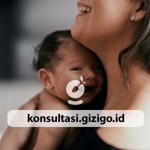 konsultasi gizi ibu hamil KEK menyusui nifas